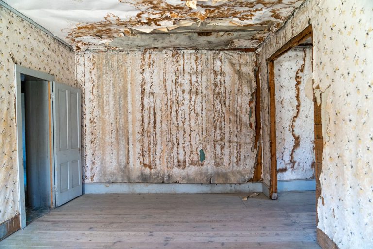 ruined room in need of ceiling leak repair
